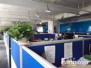 陸家嘴軟件園寫字樓出租 515平米正氣戶型，歡迎來電看房